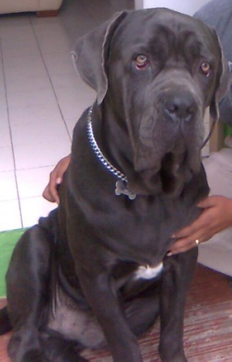 Mi nene hermoso,TE EXTRAÑO MUCHISIMO!! Mi nene hermoso,TE EXTRAÑO MUCHISIMO!!